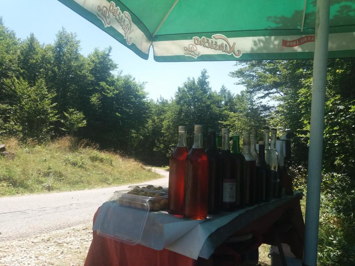 Кемпинги Katun Ljeljenak Плужине-15
