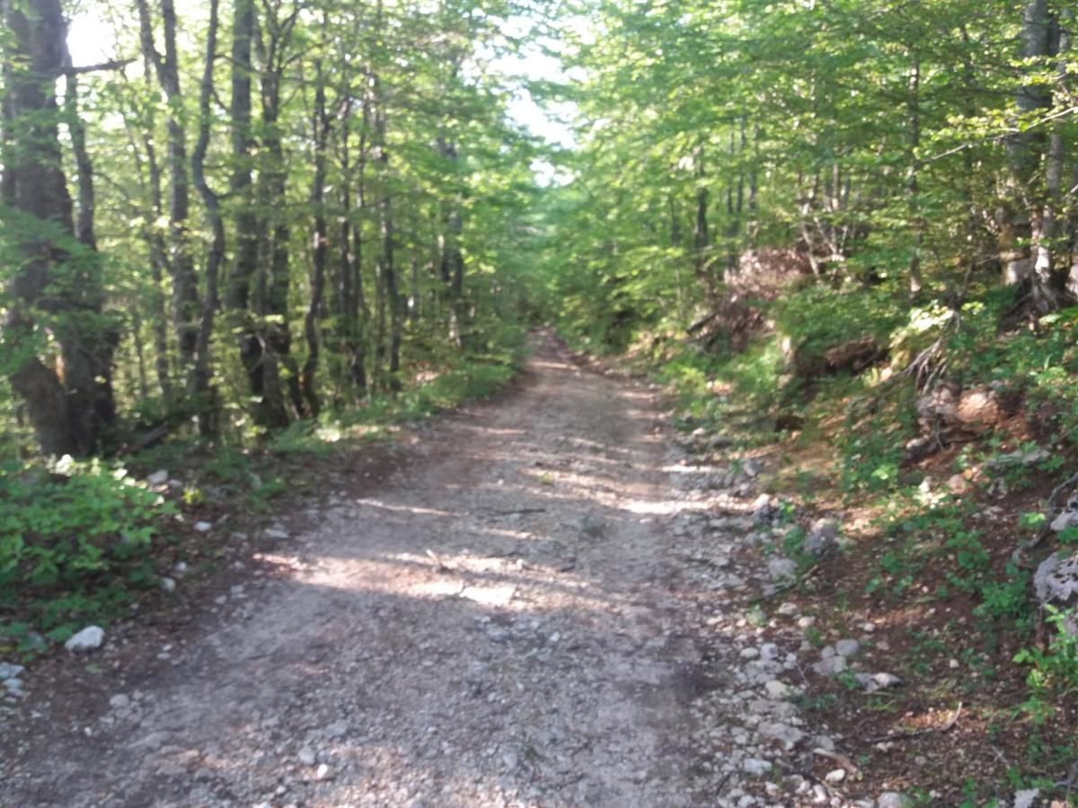 Кемпинги Katun Ljeljenak Плужине-32