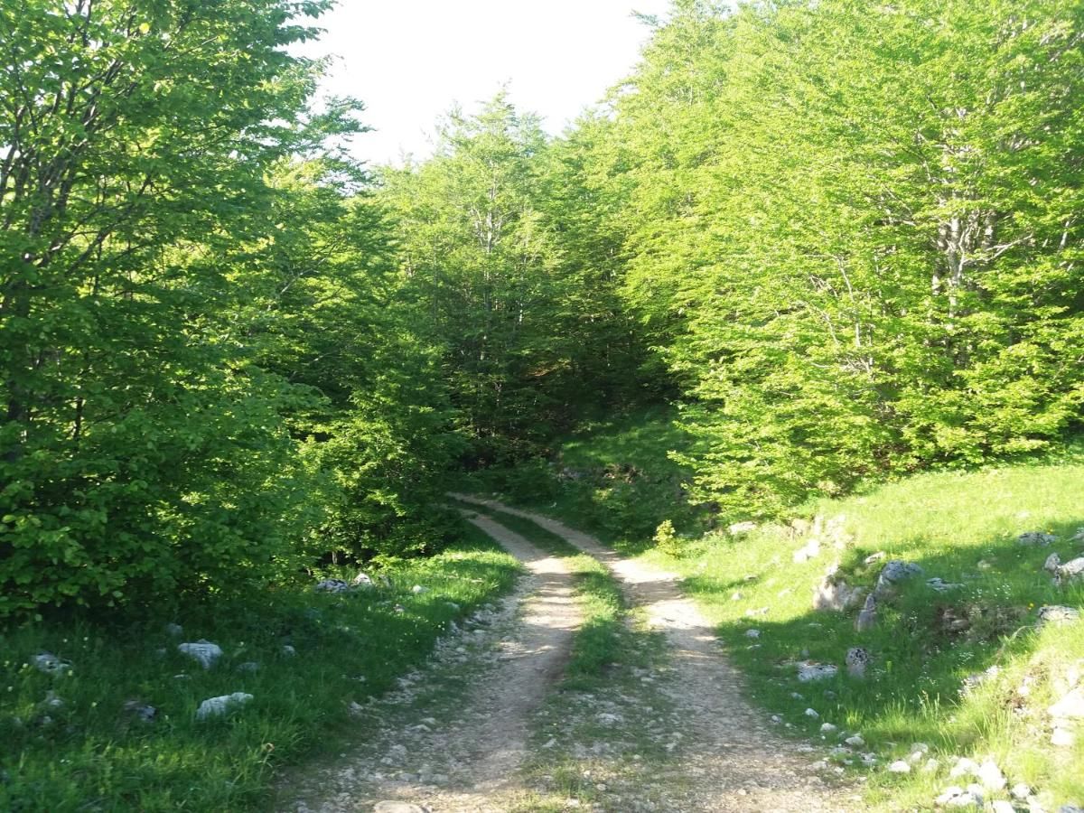 Кемпинги Katun Ljeljenak Плужине-44